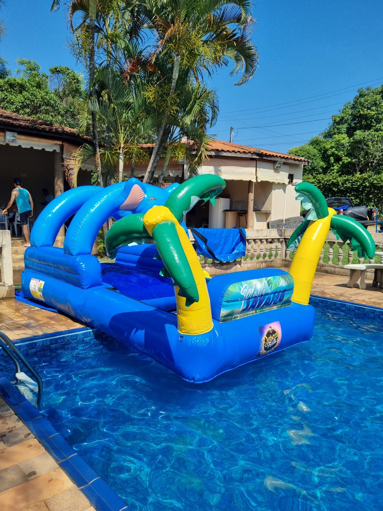Savana Splash