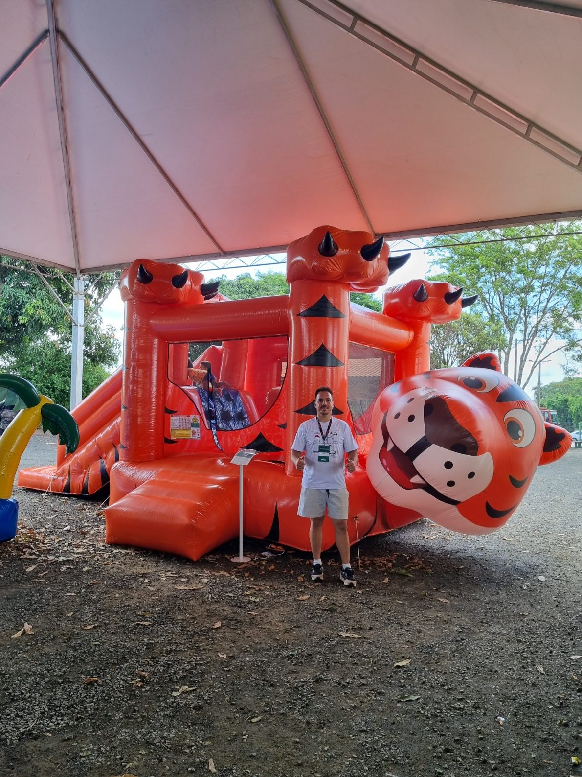 Kiddie play Tigrão